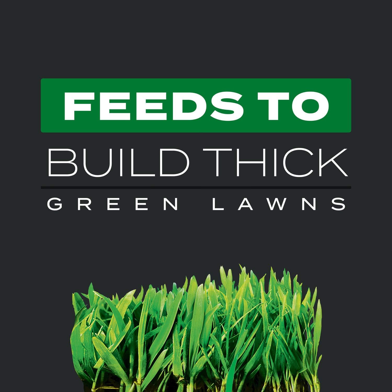 Scotts Turf Builder Triple Action - Weed Killer & Preventer, Lawn Fertilizer, Prevents Crabgrass, Kills Dandelion, Clover, Chickweed & More, Covers up to 4,000 sq. ft., 20 lb.