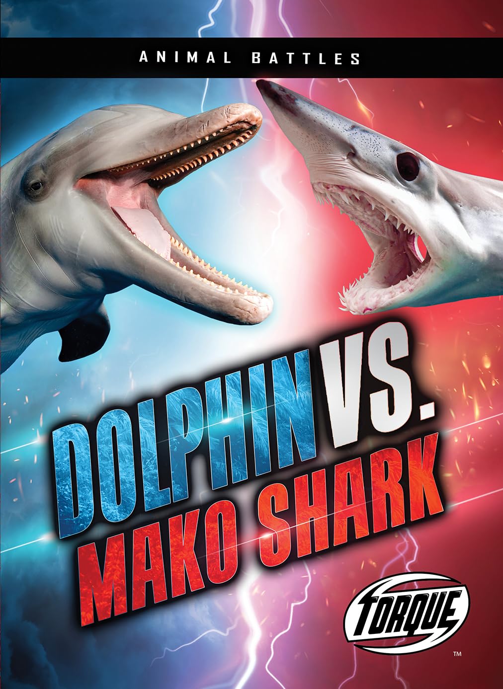 Dolphin Vs. Mako Shark