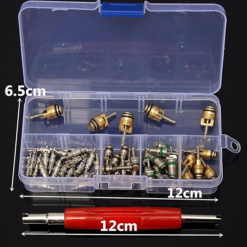 Miniatura 5 de 50 válvulas de núcleo de aire acondicionado para automóvil, R12 R134A Núcleos de vástago de válvula de aire acondicionado automotriz con herramienta