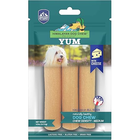 discus fish tank setup