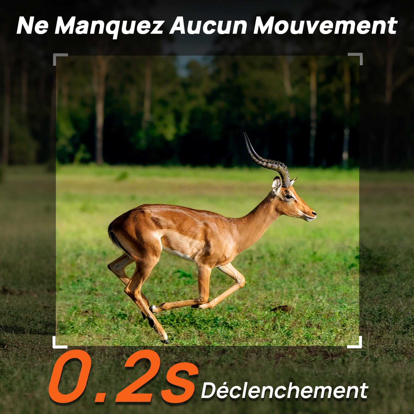 iZEEKER Caméra de Chasse 2 en 1 Cloud 4G et Standard, 2K HD 48 MP Caméra Chasse avec Vision Nocturne et Détection de Mouvement, Contrôle Application sans WiFi Etanche IP66 avec Carte SIM pour la Faune