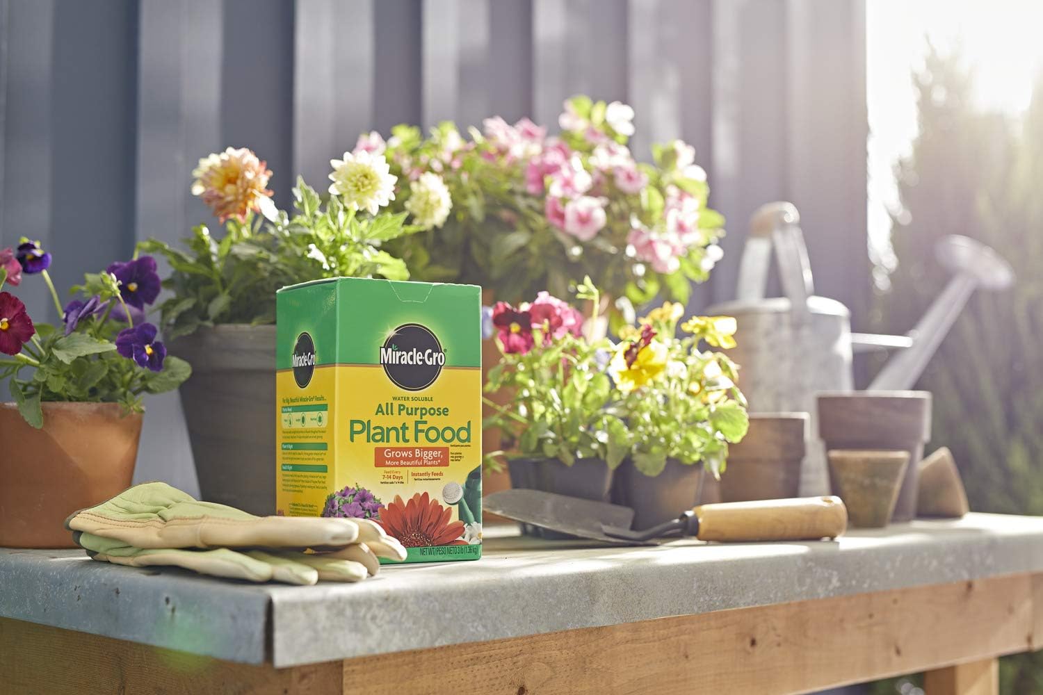 Miracle-Gro Water Soluble All Purpose Plant Food, 3 lb : Everything Else