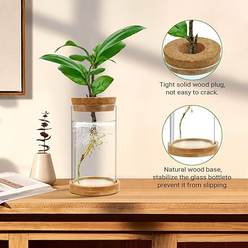 Miniatura 2 de Estaciones de propagación de plantas, paquete de 3 terrarios de plantas, tarros de propagación de vidrio hidropónicos para plantas de interior,