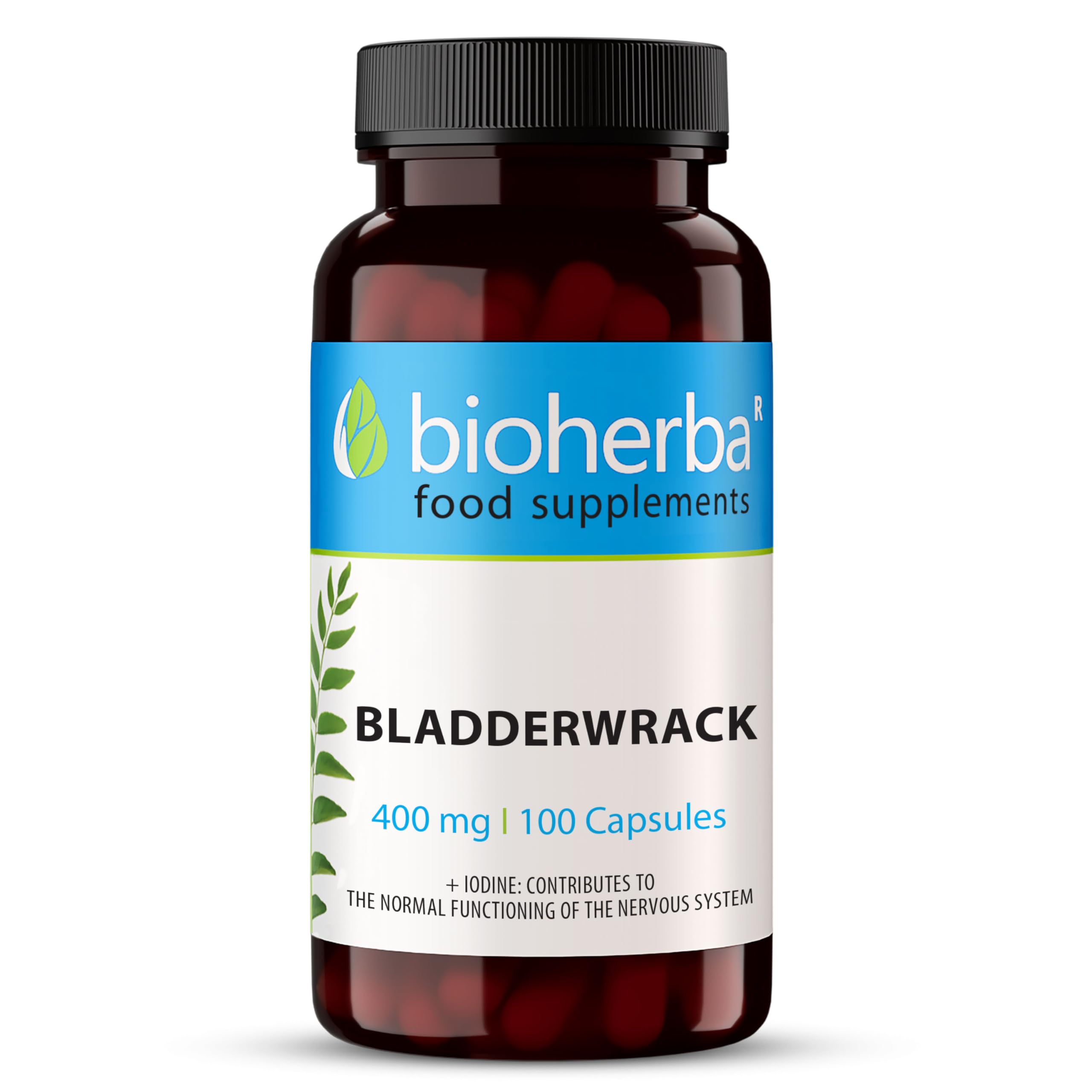 BIOHERBA Bladderwrack 400 mg – 300 Capsules | Natural Iodine-Rich Seaweed Supplement for Metabolism and Thyroid Support