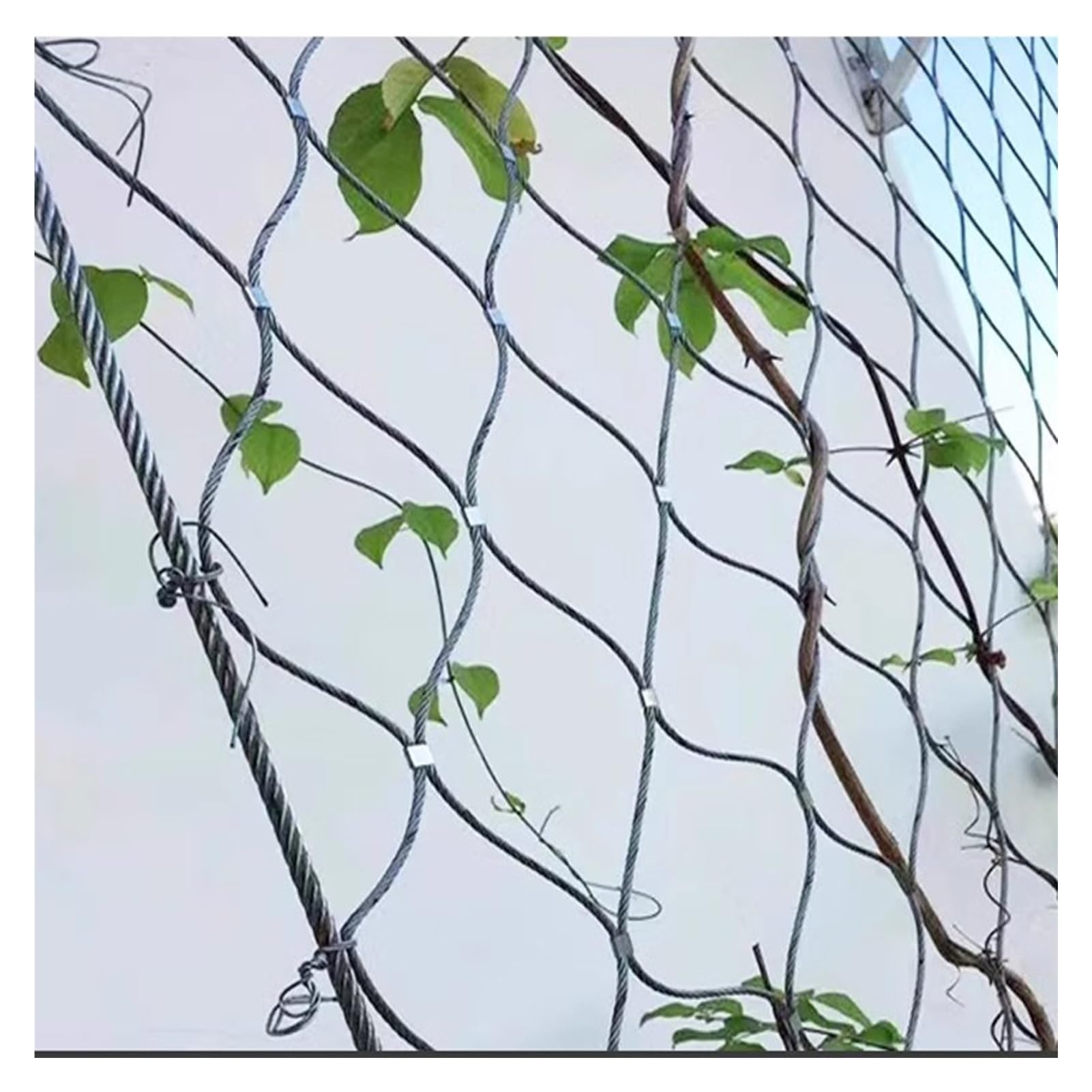 Red de Escalada Flexible y Duradera de Acero Inoxidable de 0,8 x 9 m para decoración de Jardines, Granjas, Balcones y escaleras: Sistema de Soporte versátil para Plantas trepadoras y hortali