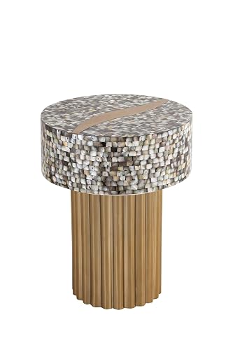 Modern End Table with Mother of Pearl Top and Stainless Steel Pedestal,Drum Small Tea Table with Pedestal,Round Central Living Room Furniture
