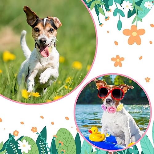 Miniatura 7 de XLSXEXCL Paquete de 4 collares de flores para perros y hembras con flores extraíbles, ajustables, de seguridad, para cachorros, hembras, perros