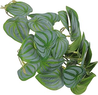 VILLCASE Decoração De Planta De Réptil Aquário De Vidro Decorações De Vidro Tanque De Lagartixa Videiras Suspensas Dobráveis Lagarto Plantas De Terrário Plantas De Terrário Suspensas