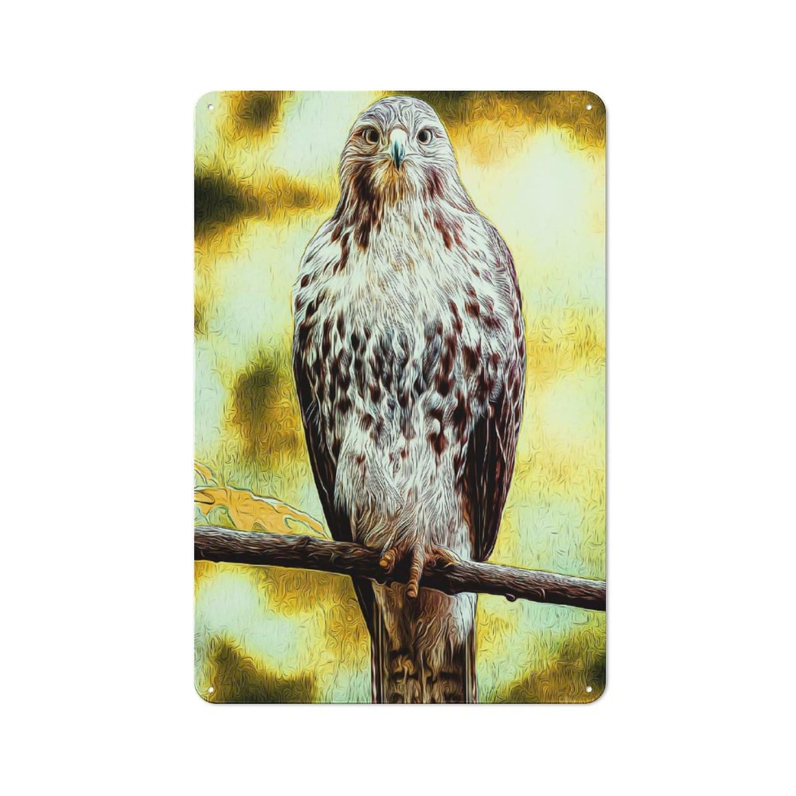 Junmoney Style-11 Retro Tin Sign 30X20cm Featuring Hawk For Workshop Wall, For Kitchen, Dining Room And Home Bar Wall Decor