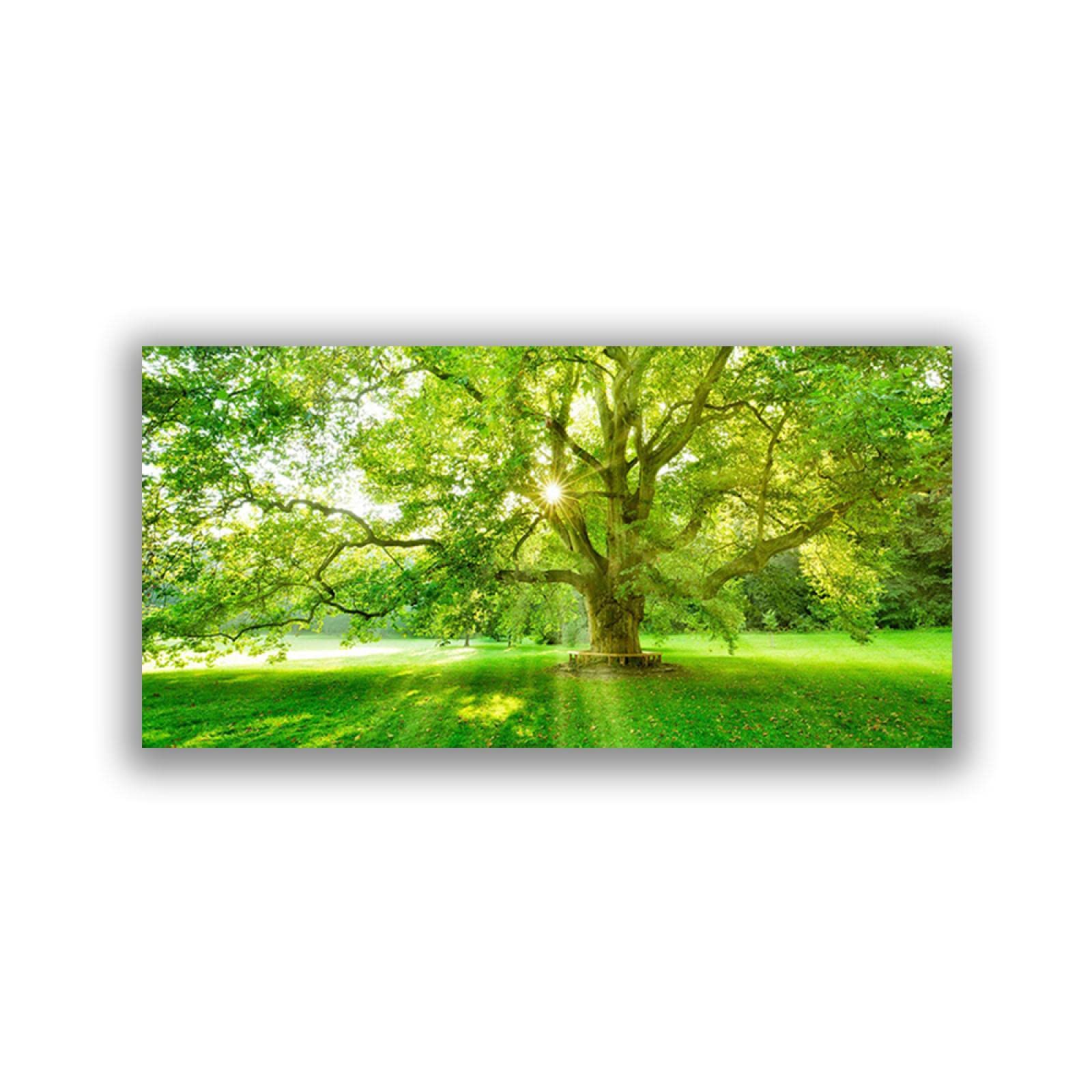 額入り-自然の風景画-森の木自然風景ポスターと版画-キャンバスに印刷-家の装飾のための風景ウォールアートの写真50x100cm額入り
