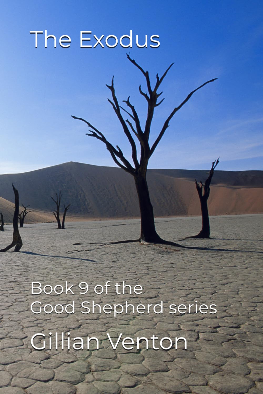 The Exodus: Book 9 of the Good Shepherd series