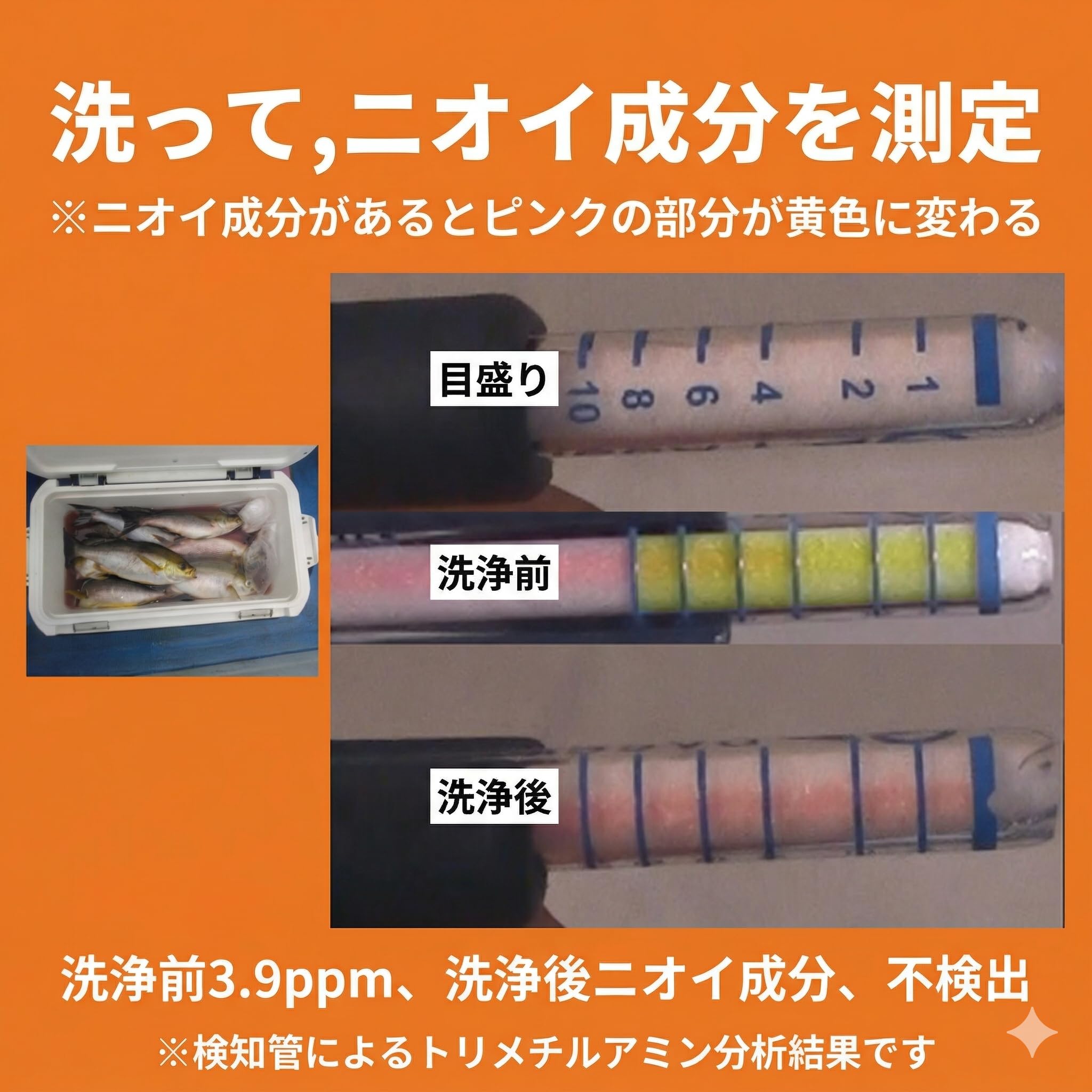 Amazon.co.jp: 釣り・魚料理用ハンドソープ! 魚の匂いがイヤな方に 