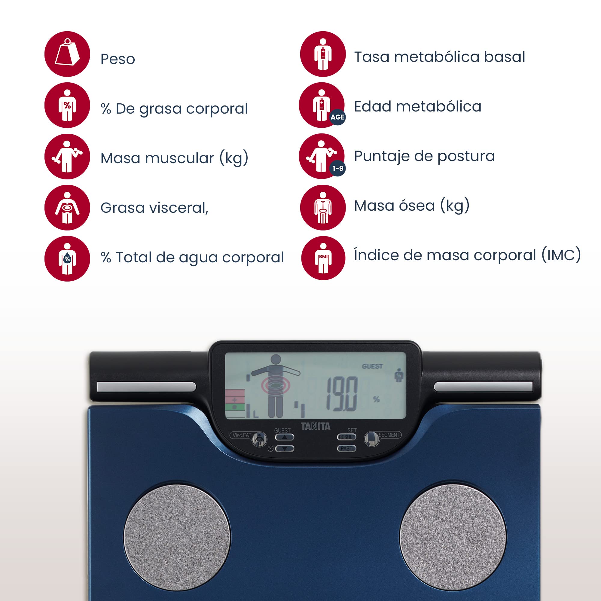 TANITA BC-602 Escalas de composición corporal segmentaria Grasa corporal Masa muscular por parte del cuerpo Ingesta diaria de calorías 10 lecturas azul metalico
