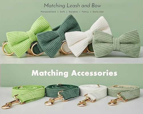 Miniatura 6 de Collar de perro personalizado con hebilla de metal, collares para mascotas personalizados con nombre y número de teléfono (pana)