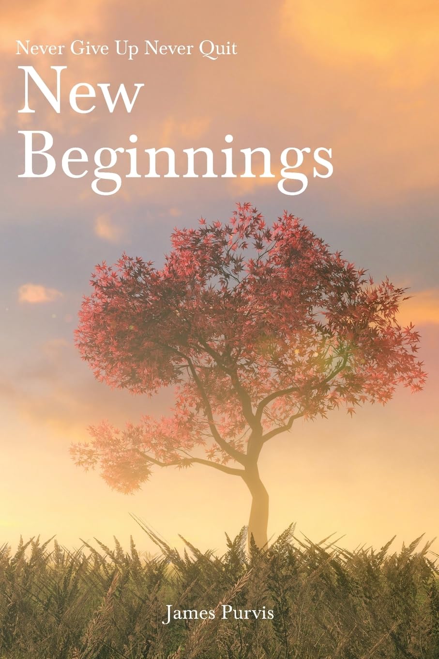 New Beginnings: Never Give Up Never Quit