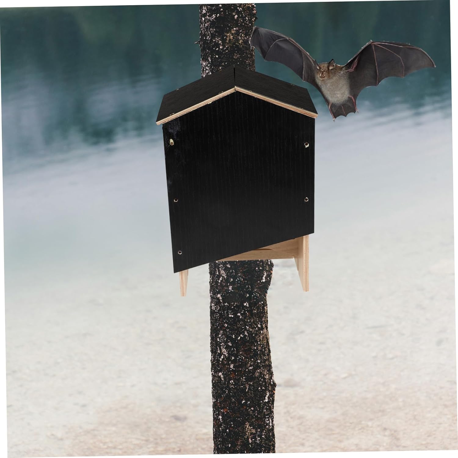 Bat Shelter Bat House for Outdoor Use Easy to Install for Courtyards and Gardens Weatherproof Habitat Double Chamber Design