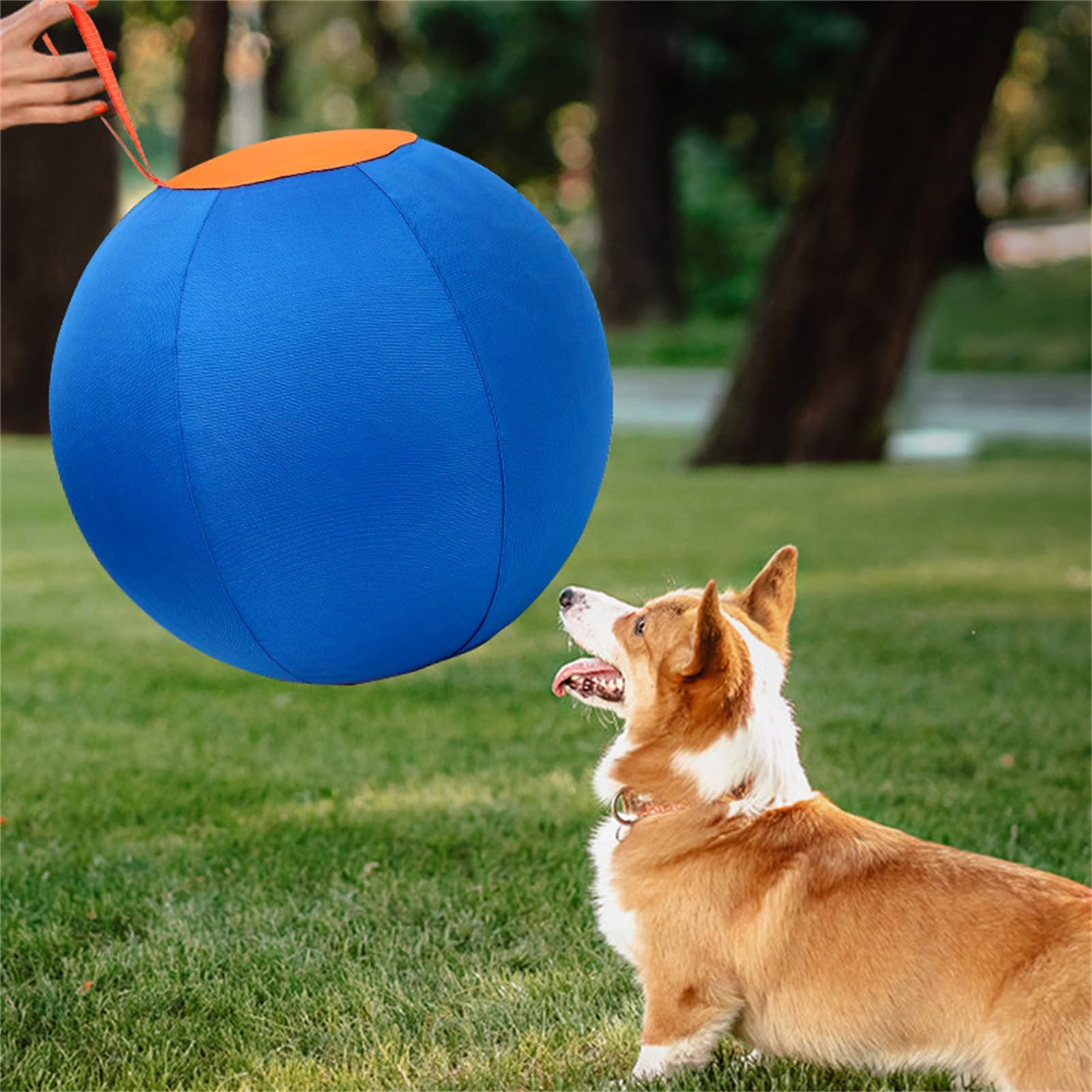 Naveo Jouet Gonflable Chien pour Grands Chiens | Ballon résistant pour jeux extérieurs facile à gonfler favorise l'exercice la coordination et l'interaction