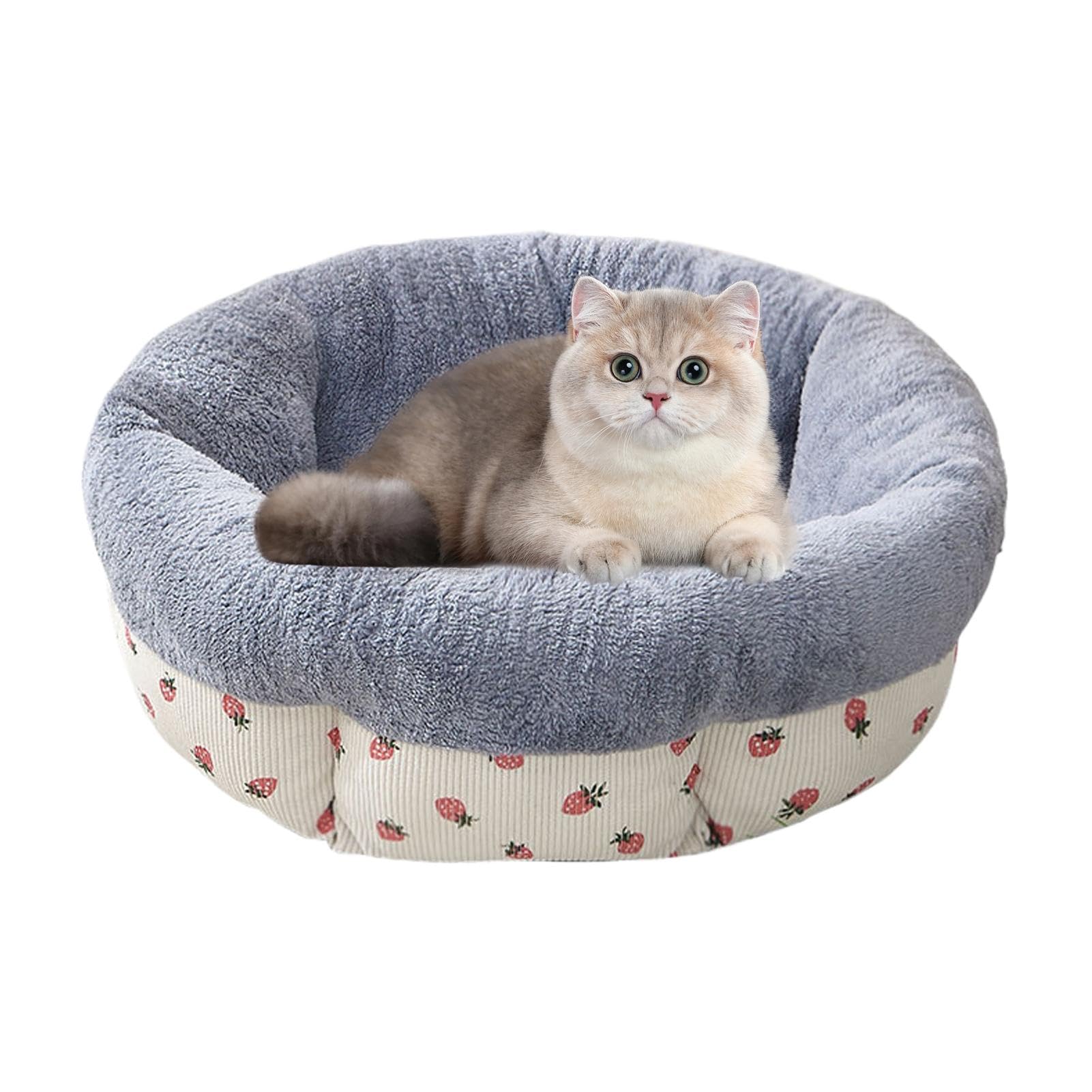 Lit rond en forme de beignet pour chat pour lui offrir de la tendresse