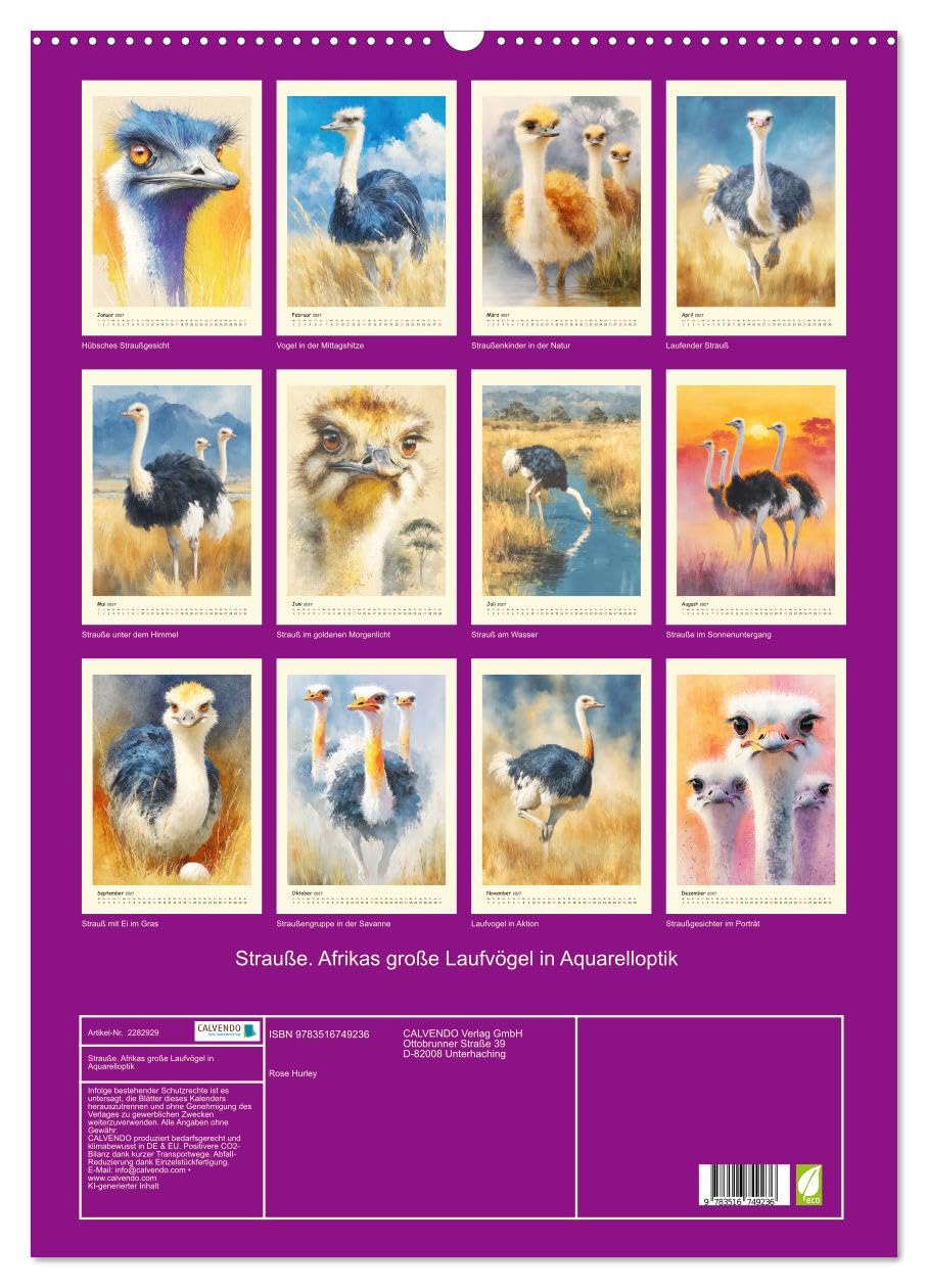 Strauße. Afrikas große Laufvögel in Aquarelloptik (Wandkalender 2027 DIN A2 hoch), CALVENDO Monatskalender: Die majestätische Ruhe und dynamische ... in schönen Illustrationen (CALVENDO Tiere)