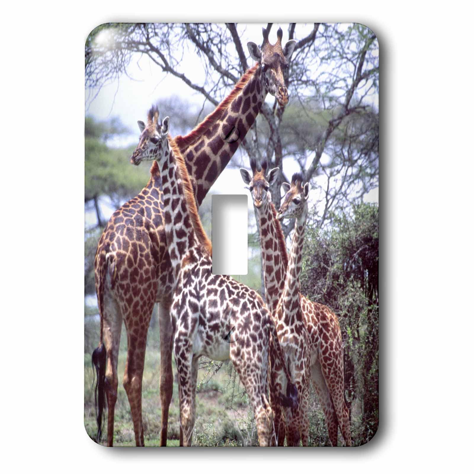 Interrupteur à bascule simple Girafe pour remplacer une plaque murale blanche 3dRose