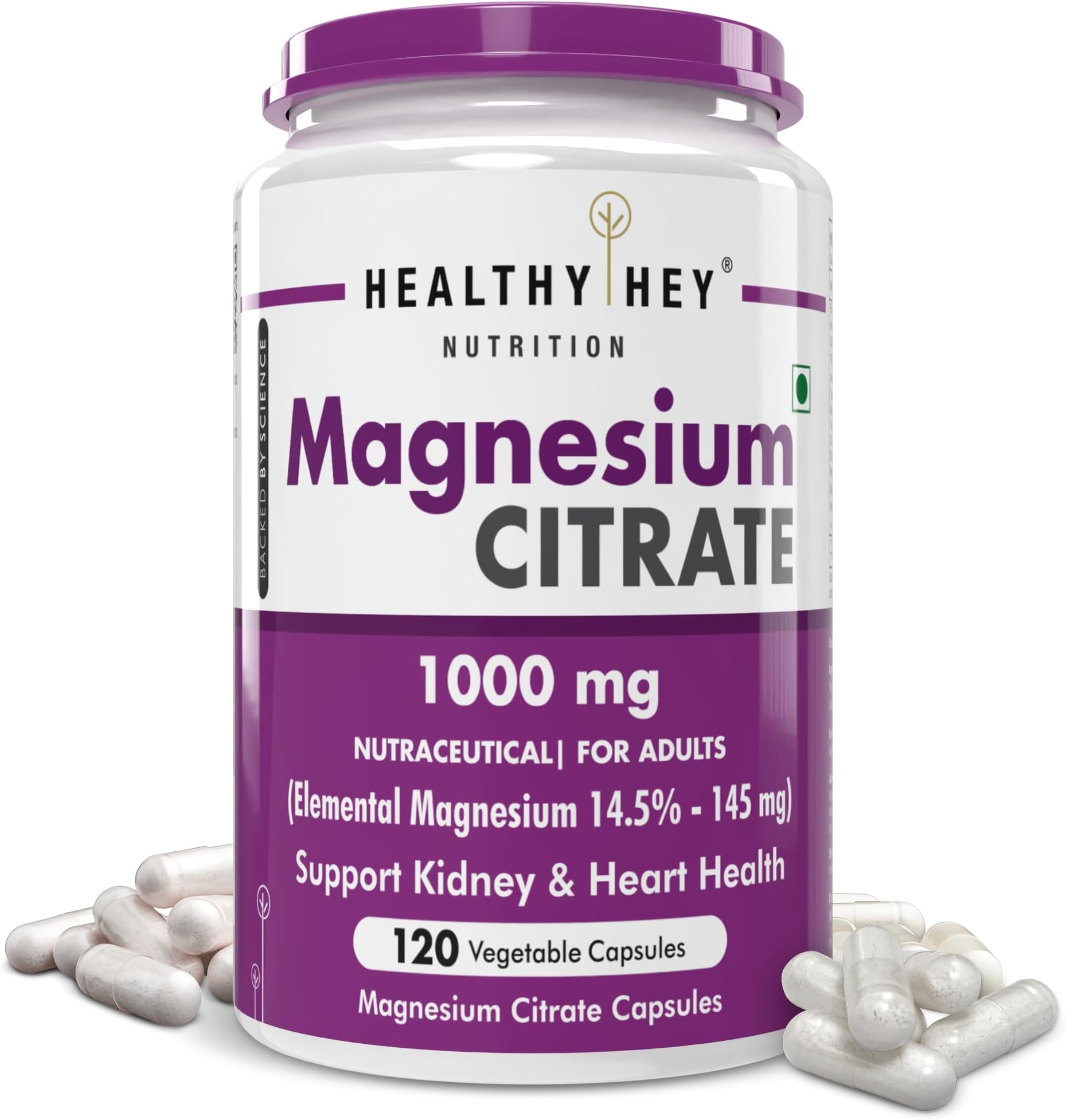 HealthyHey Nutrition Magnesium Citrate - 1000 mg - Vegetable Capsules 120 Count (Pack of 1)