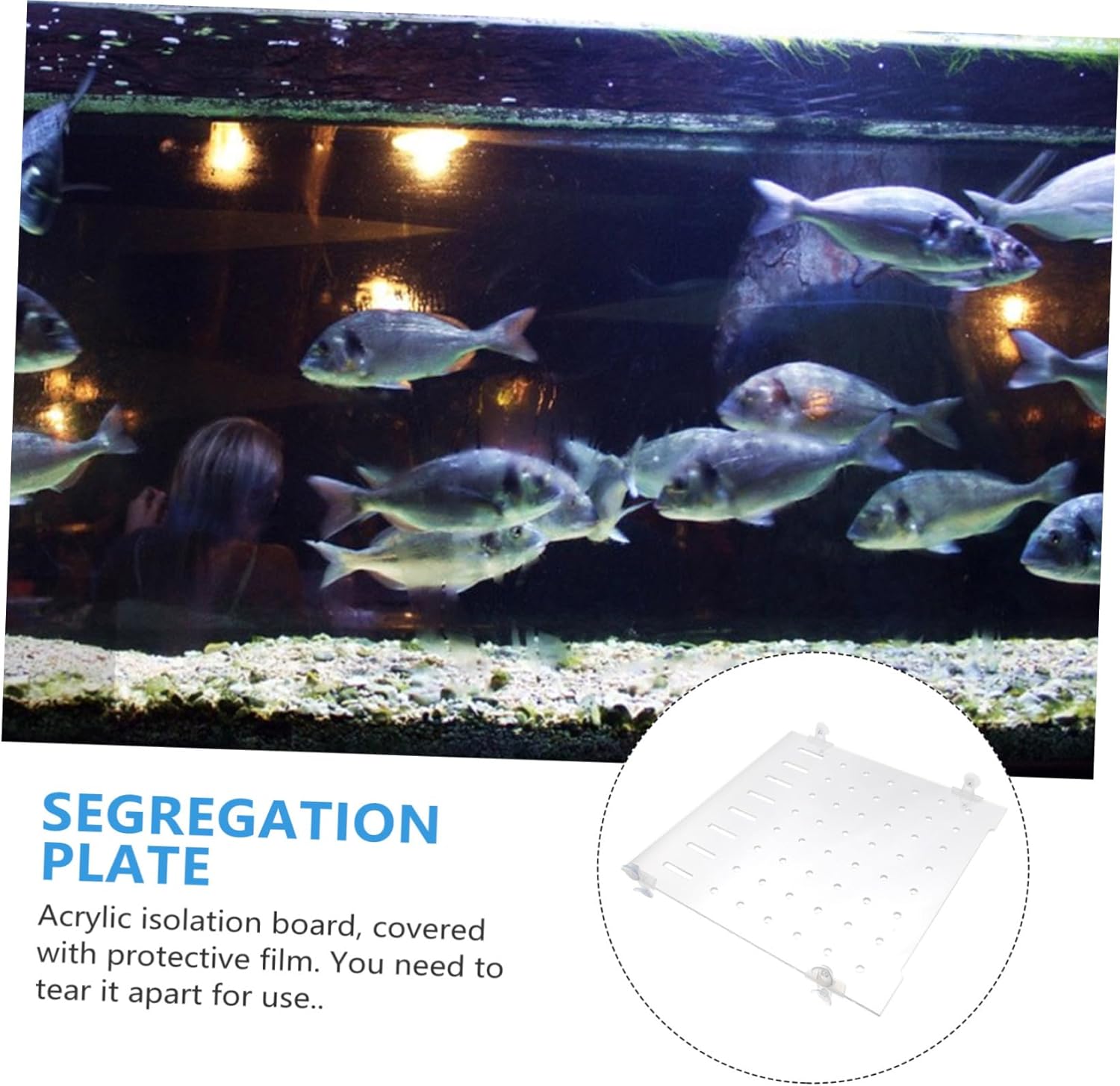 Breeder Box for Fish Tank Acrylic Separator Plate Smart Design for Easy Fish Raising