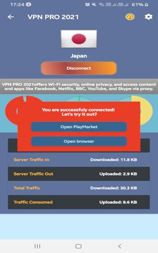 VPN PRO 2021