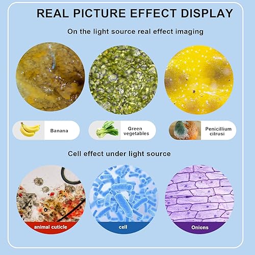 Miniatura 5 de Microscopio trinocular 40X-5000X de aumento de grado de laboratorio con etapa mecánica dual y microscopio de cámara USB HD para adultos