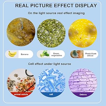 Trinocular Microscope 40X-5000X Magnification Laboratory Grade with Dual Mechanical Stage and HD USB Camera Microscopes for Adults(Adult Trinocular Microscope with Electronic Eyepiece)
