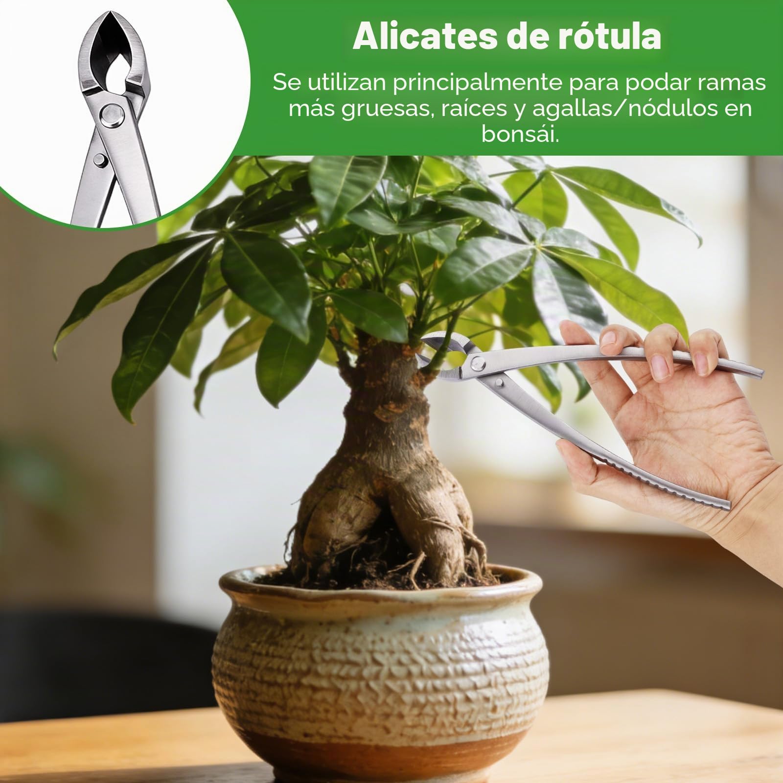 3uds Herramientas para Bonsai, Profesional Acero Inoxidable con Cortador de Pomo Cortador Cóncavo y Tijeras Hojas para Poda Modelado y Cuidado Plantas Precisión