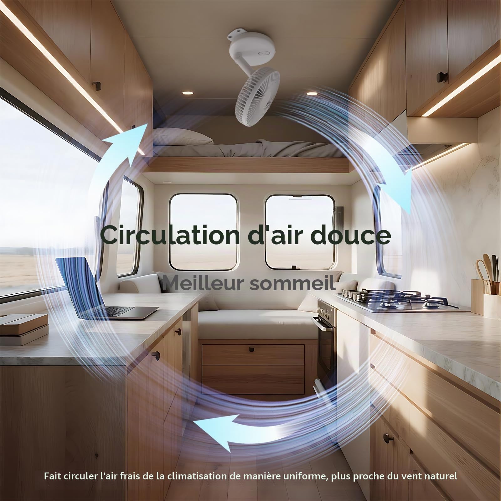 ZOIZ Ventilateur Camping-Car 12V avec LED 4 Couleurs, Ventilateur Mural et de Table, Double Alimentation 12V et USB-C, Oscillant Silencieux pour Van Aménagé, Caravane, Bateau, Chambre & Vanlife