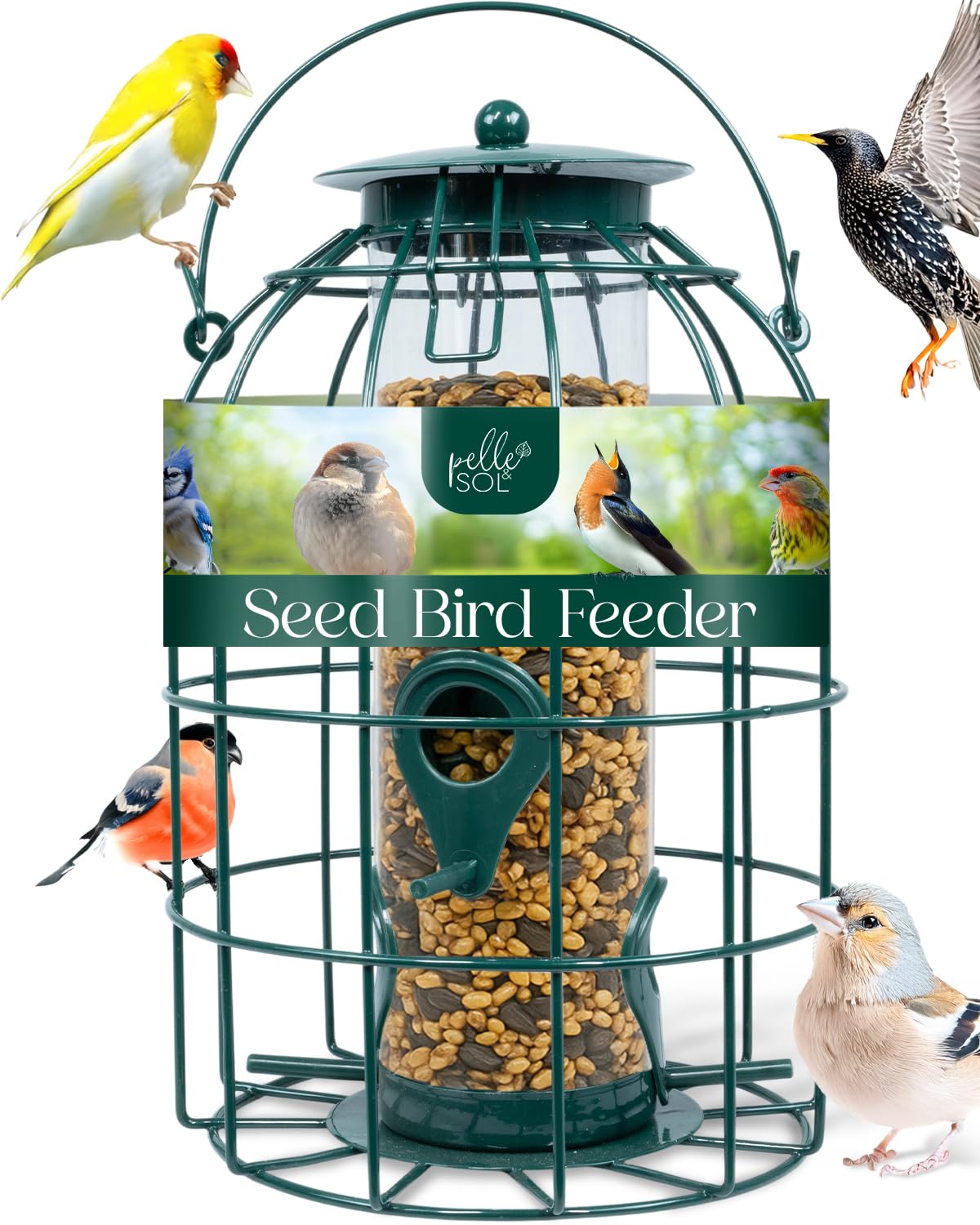 Pelle & Sol Bird Feeder - Seed Feeder for Wild Birds - Compact Iron Design for Bird Feeders Hanging Station - Weather Resistant, Squirrel Proof, Easy Clean, Hang Anywhere Outdoor Feeders