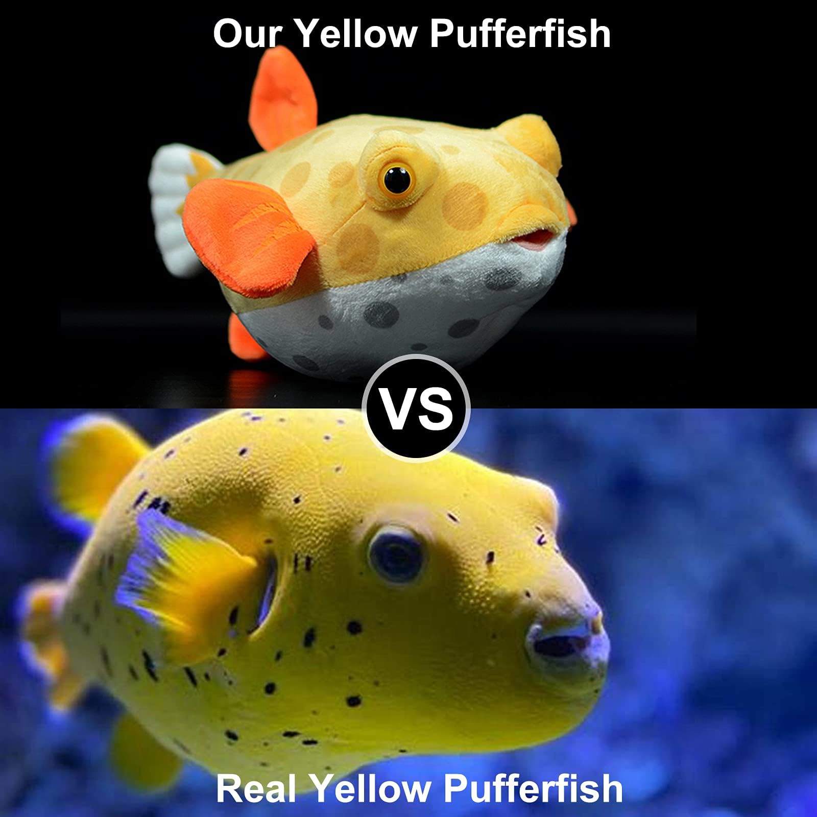 capybaraflying Simulation Cambrian Pufferfish Plush Toy - Image 2