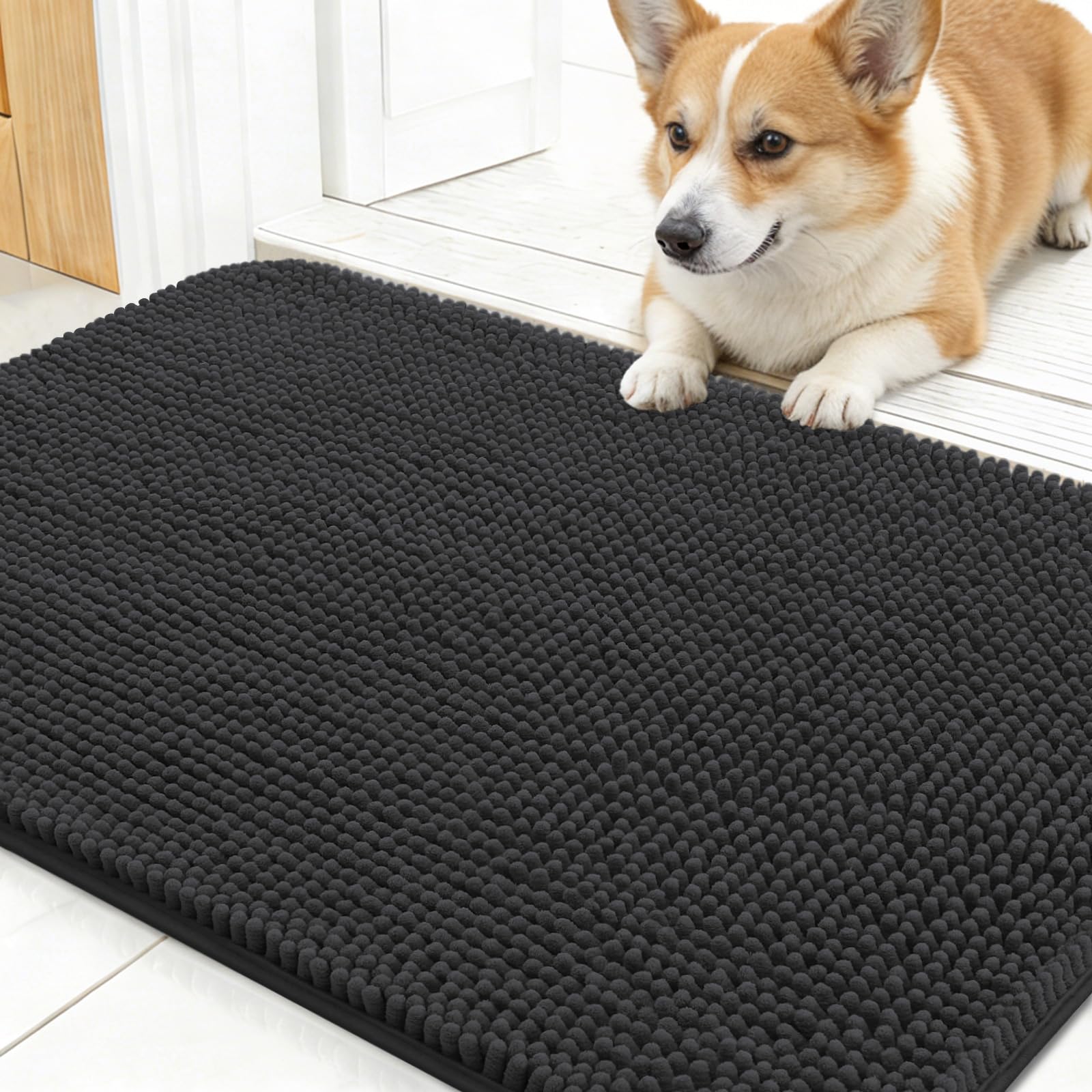OLANLY Dog Door Mat for Muddy Paws 24x16, Super Absorbent Chenille Mud Mat