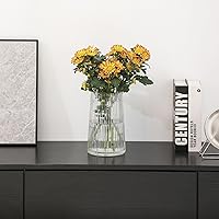 Vista 2 de Jarrón de vidrio transparente para flores, florero para ramo, jarrones de vidrio modernos, jarrones acanalados para sala de estar, dormitorio, mesa