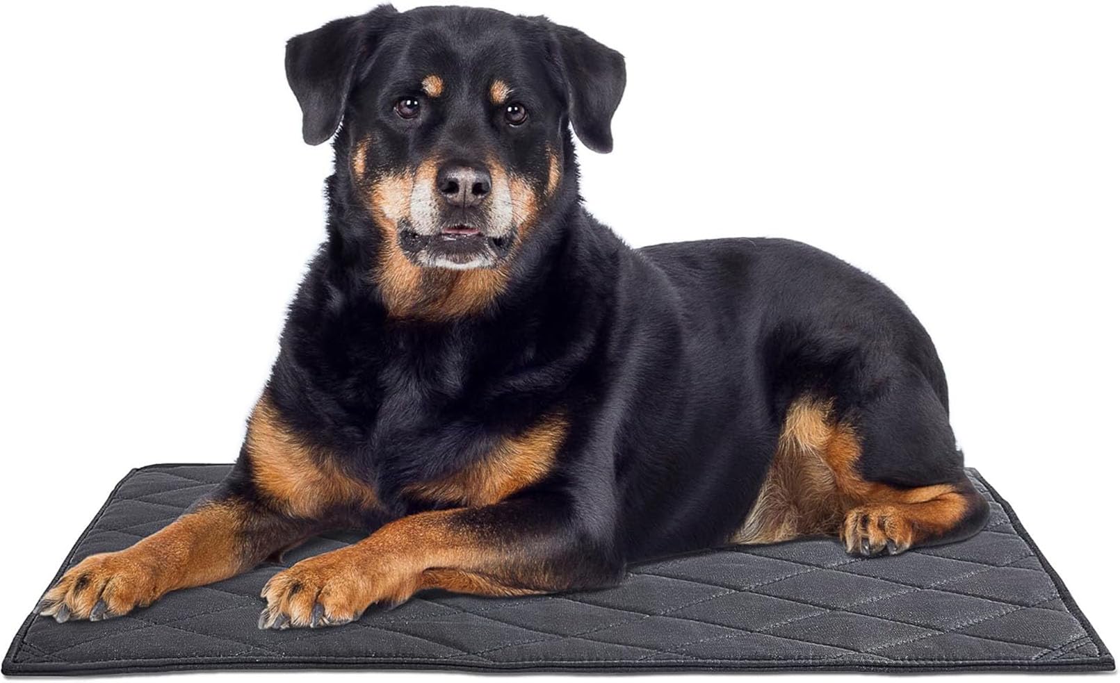 Tapis Chien Indestructible Anti-Mastication 71x119cm Noir Lavable Résistant Pipi