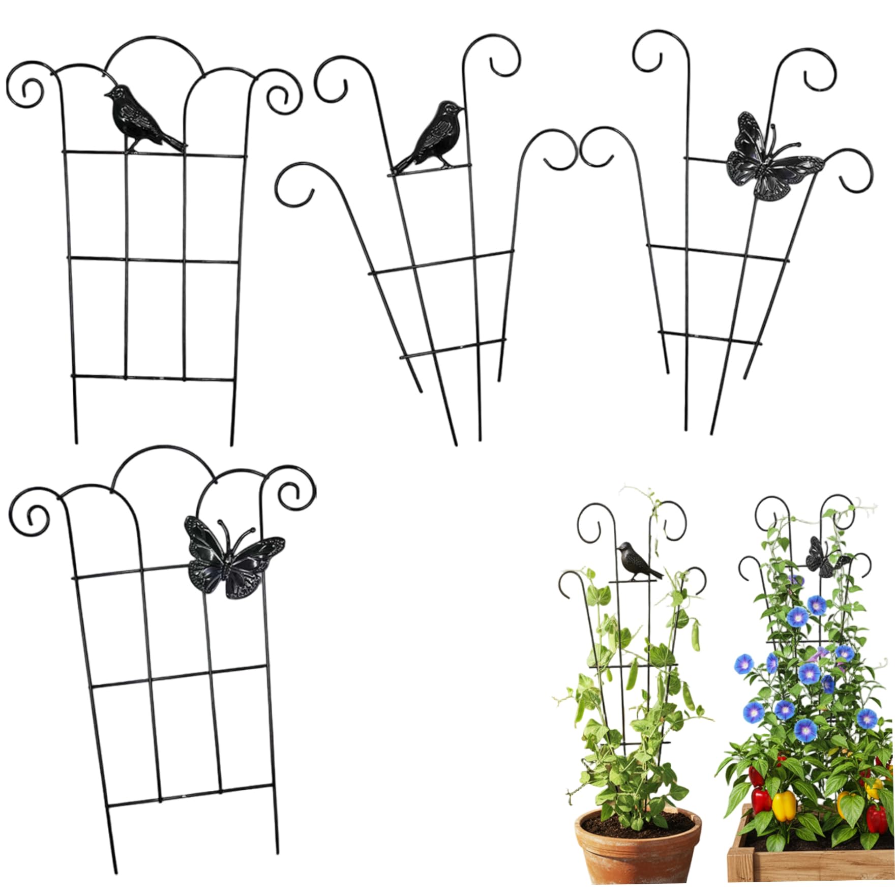 Treillis pour plantes d'intérieur pour créer un mur végétal de Pothos