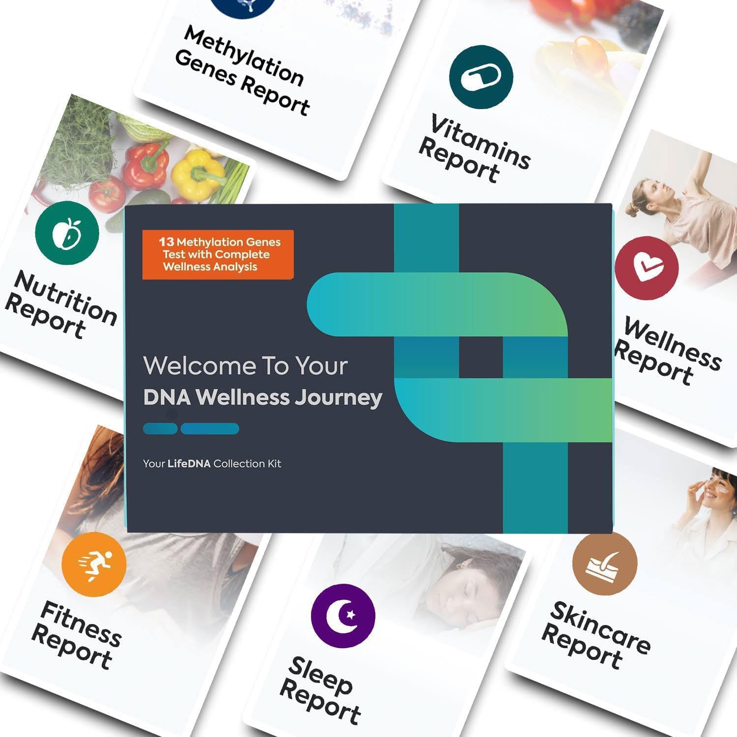 13 Methylation Genes Test Complete Wellness Analysis | Over 120 Traits for Nutrition, Fitness, Vitamins, Sleep, Skincare Reports