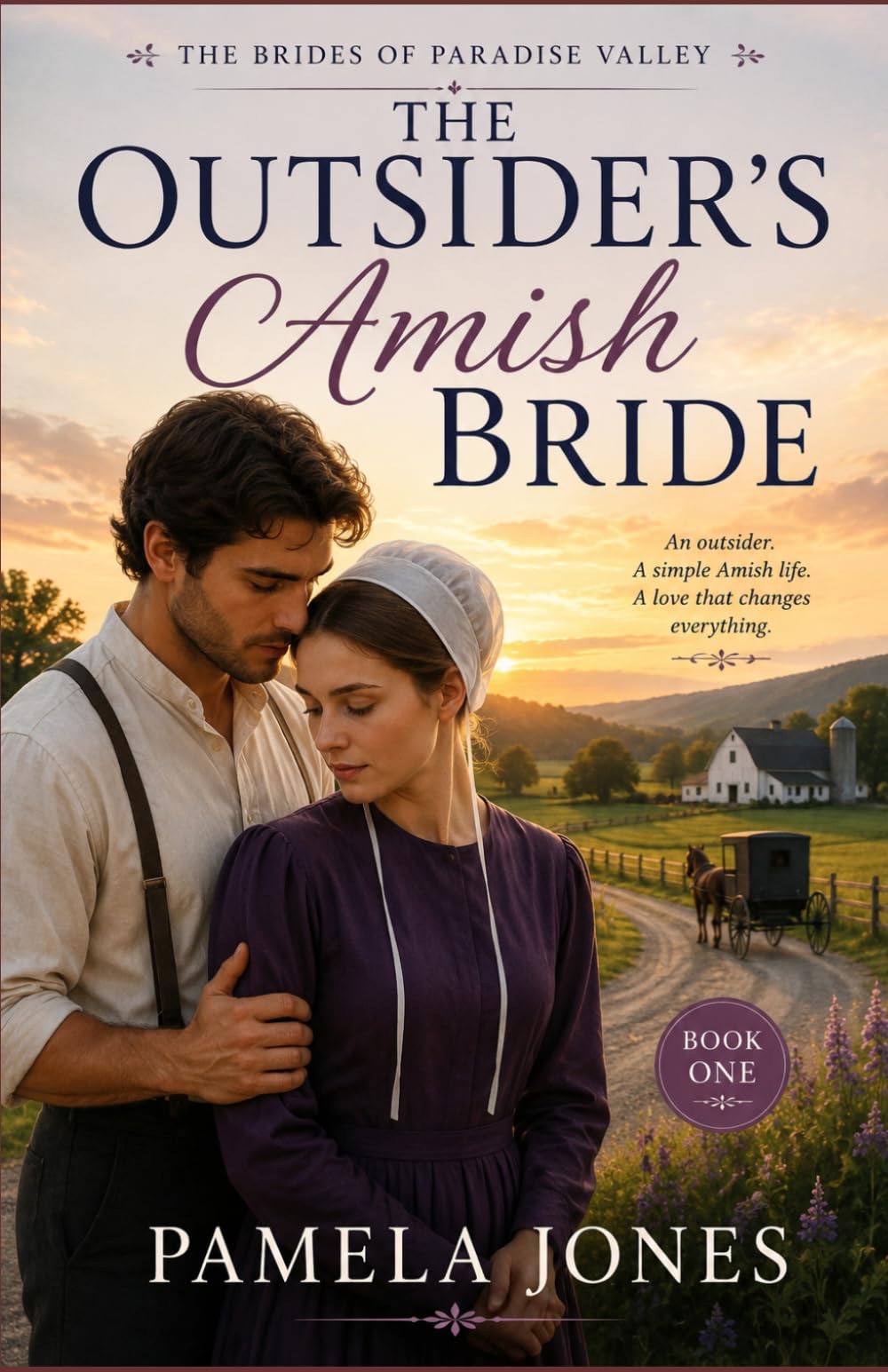 The Outsider's Amish Bride (THE BRIDES OF PARADISE VALLEY)