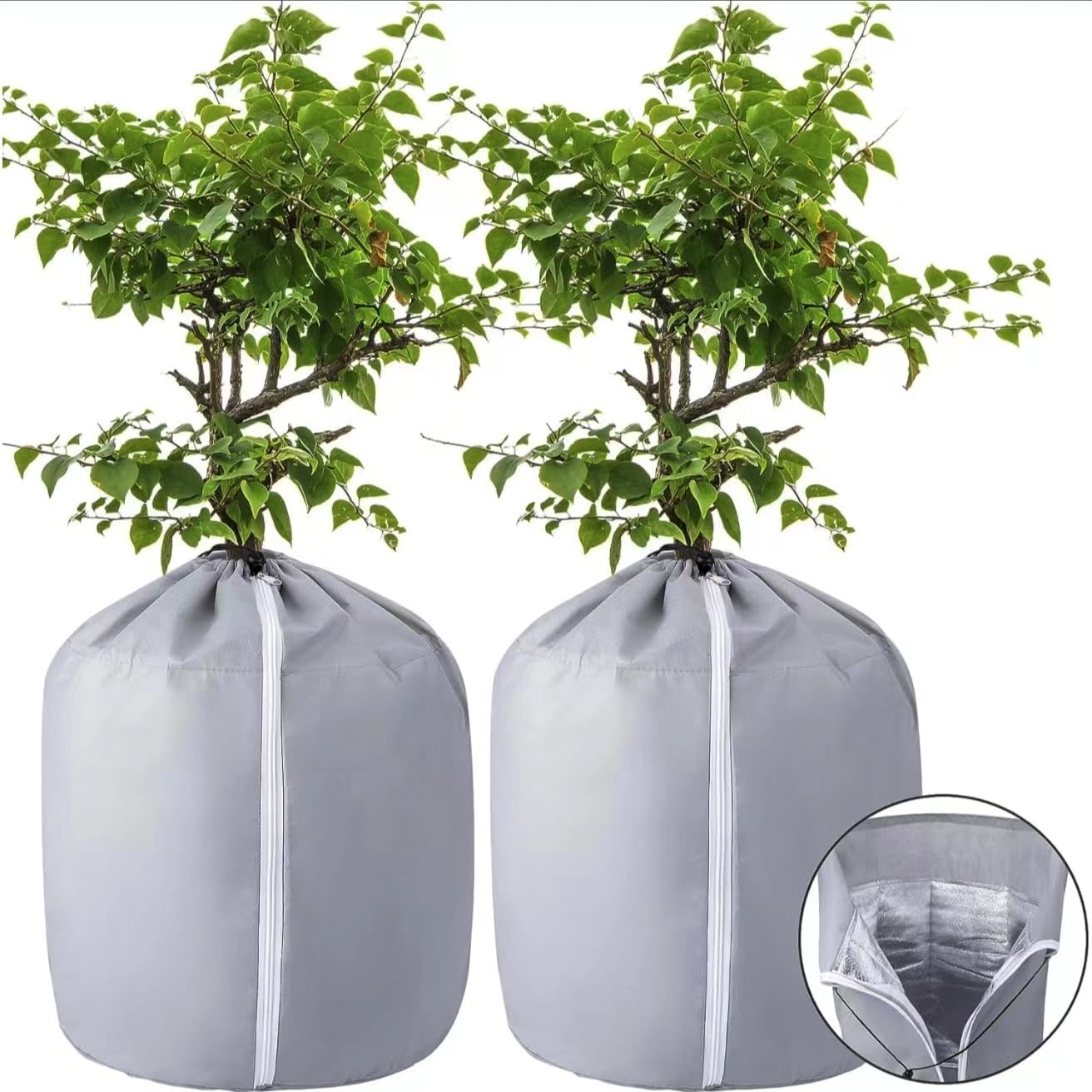 LINSOCLE Housse Hivernage Plantes - Lot De 2 Voiles 100x80cm | Protection Gel Et Vent | Réutilisable Polypropylène