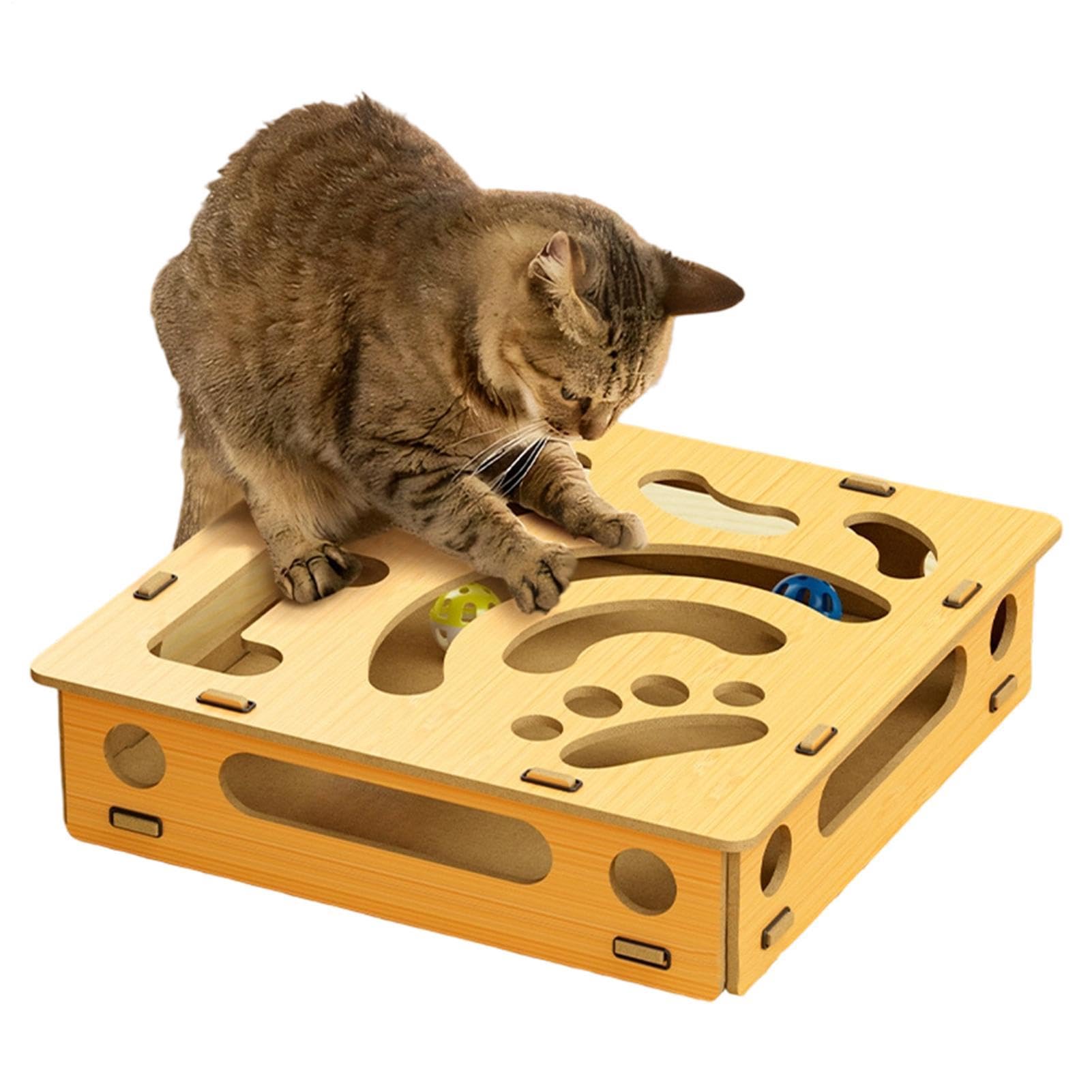Planche d'entraînement à gratter pour chaton et boîte de puzzle d'intérieur
