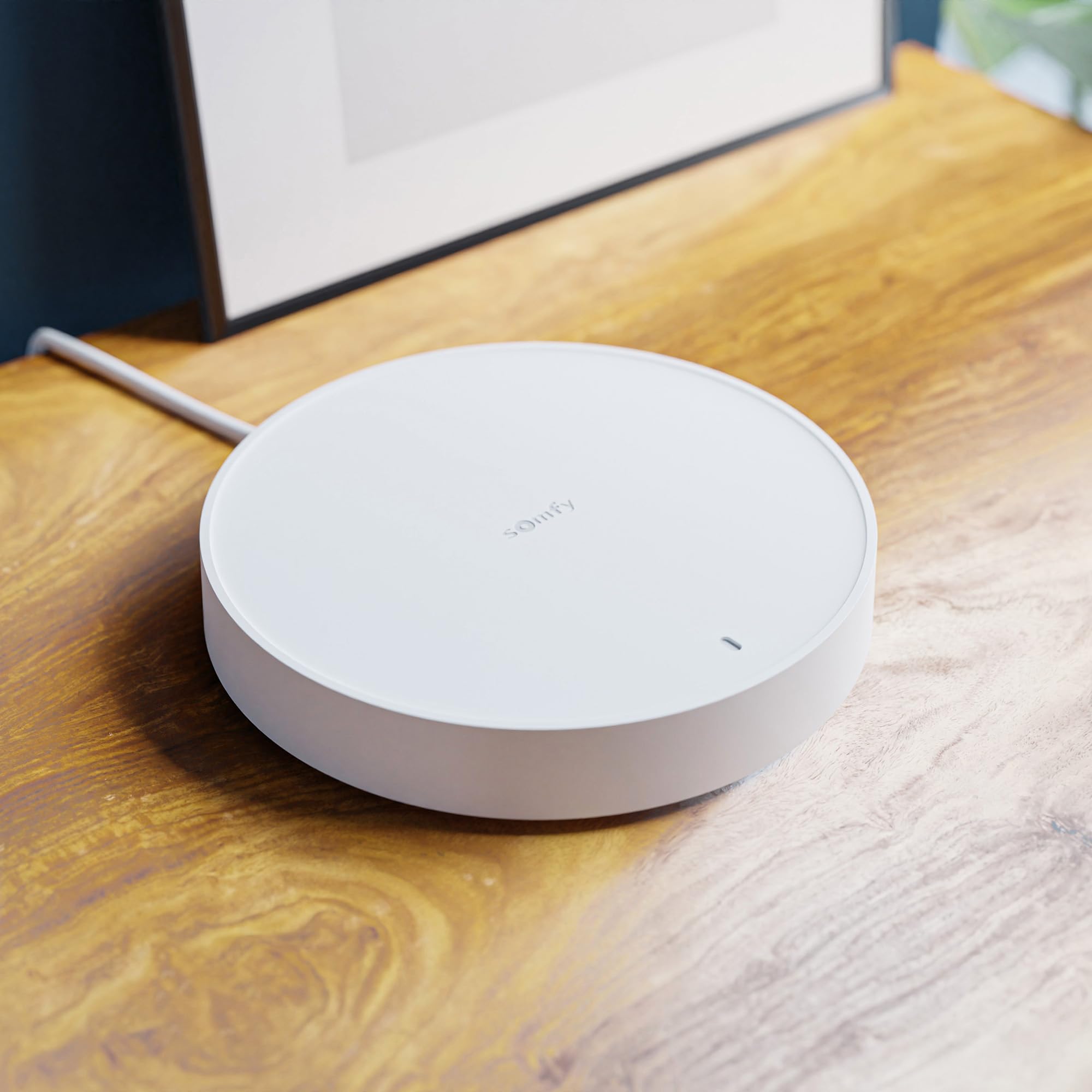 Somfy 1875279 - Home Alarm Essential Starter Pack | Smarte Funk-Alarmanlage für Kleine Häuser oder Wohnungen | Kompatibel mit Alexa, Google Assistant, Tahoma und Somfy Protect