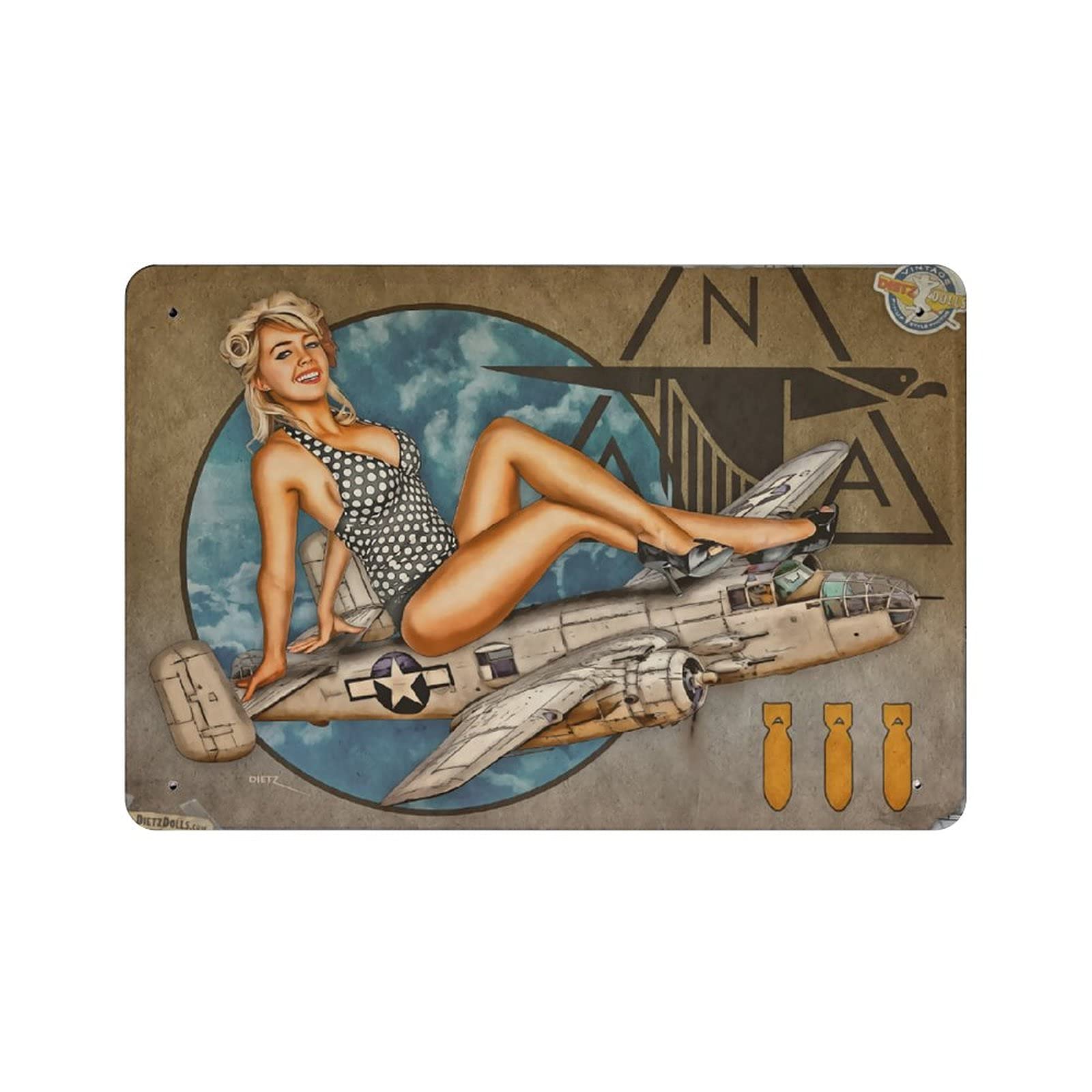 KEYGAMER The Story Of A Woman And An Airplane Metal Tin Sign, Vintage Plaque Poster Garage Bar Home Wall Decor 8 X 12 Inches โ image 1