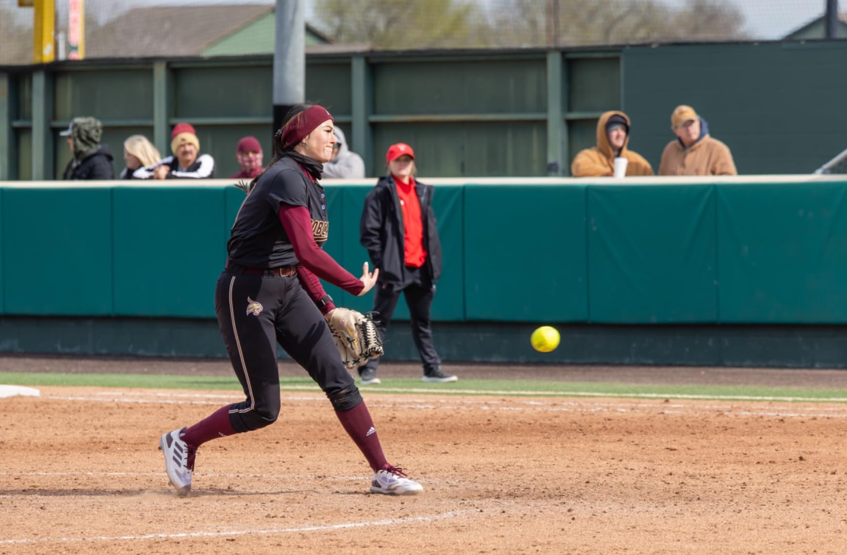 Canon R3 A beast of a camera!