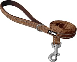 AIITLE Reflective Leash for Small/Medium Dogs 5ft - Brown