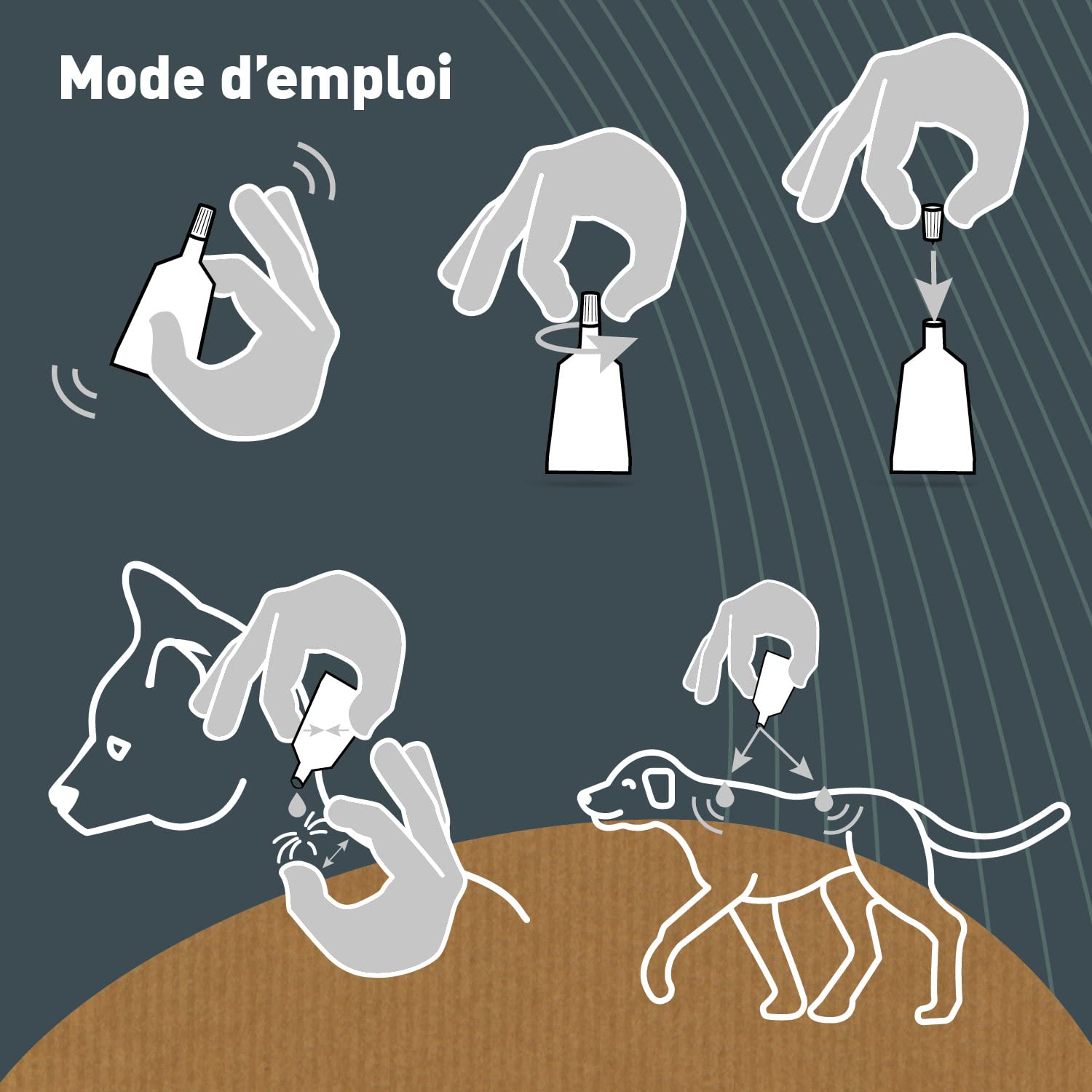 BIOVETOL - Pipettes Antiparasitaires Chien - Antiparasitaire Bio Certifié Ecocert - Anti-puces, Anti-Tiques (pour Moyen Chien (de 15 à 30 kgs), 3 pipettes + 1 Offerte)