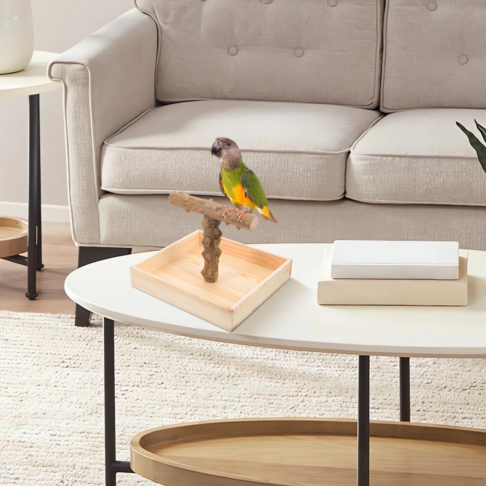 Toddmomy Perchoir pour Oiseaux Naturel Support pour Perroquets Et Oiseaux De Compagnie Accessoire De Et Entraînement