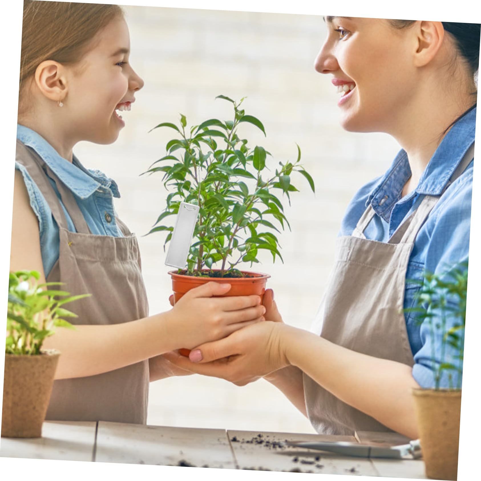 SUPVOX 5 Ensembles Étiquettes Rondes En Aluminium D'Art Étiquette De Plante Étiquettes De Jardin Étiquettes De Plantes Pour es D'Extérieur Étiquettes Pour es 50 pièces * 5