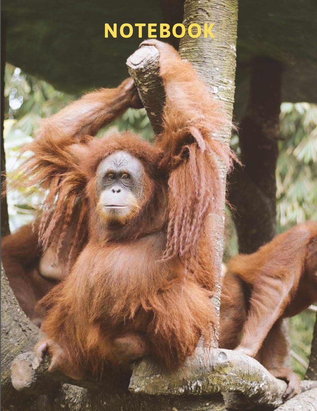 Notebook: Orangutan - Monkey Themed Journal With 120 Pages of Lined Paper