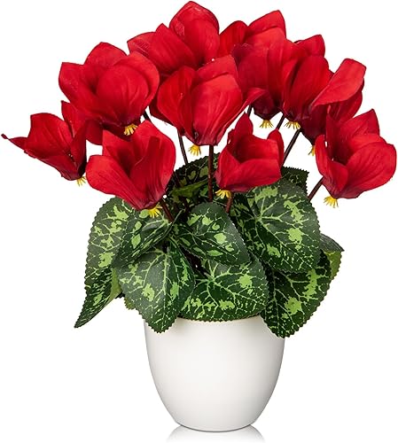 Hollyone Flores artificiales de ciclamen en maceta, flores de seda falsas en maceta blanca, arreglo de flores de ciclamen rojo sintético, decoración